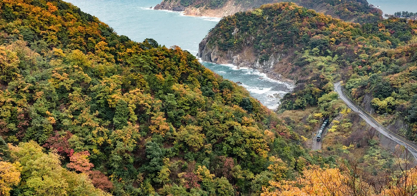 Twilight Express Mizukaze dans les feuillages d'automne de la c&ocirc;te San'in &mdash; kōyō et mer du Japon depuis la hauteur
